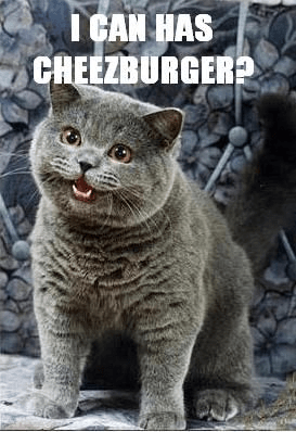 A playful gray cat with a big smile, captioned 'I CAN HAS CHEEZBURGER?'