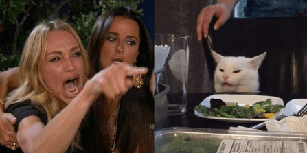 A split image featuring two contrasting scenes: on the left, a woman shouting and pointing with another woman looking surprised; on the right, a calm white cat sitting at a dining table with a plate of food in front of it.